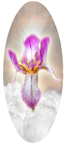 A18 Bronze Clouds with Iris